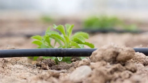 Round Drip Irrigation System Manufacturer 